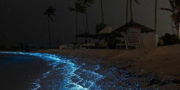 Indahnya Keajaiban Pantai Sea of Stars di Maldives