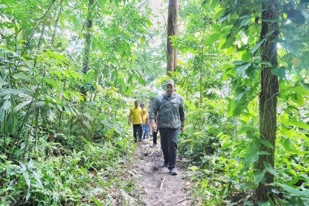 Menpora Dito Ariotedjo Jajal Trek Lari Lintas Alam Bukit Lawang Sumatera