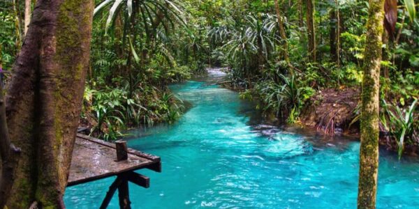 Hari Sungai Nasional 2023, Ini 4 Wisata di Sungai Indonesia yang Patut Dicoba