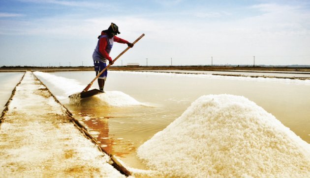 Tambak garam rakyat salah satu sektor yang diprioritaskan program KUR