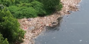 Tangkapan layar tumpukan sampah di Kawasan Mangrove Muara Angke/Ist @warungjurnalis