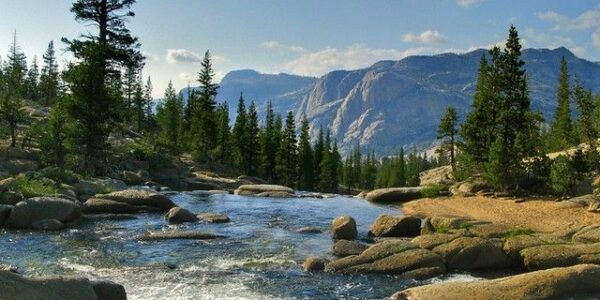 Ungkap 6 Keajaiban Alam Taman Nasional Yosemite: Surga Keanekaragaman di California