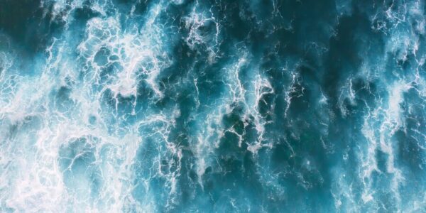 Keajaiban Laut: Fakta Menarik yang Membuat Terpesona