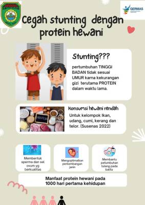 Infografis cegah stunting dengan protein hewani