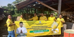 DPD Partai Golkar Kabupaten Tangerang Mad Romli menyerahkan 29 sapi kurban kepada Pimpinan Kecamatan Partai Golkar se-Kabupaten Tangerang, Selasa (26/6/2023) lalu. Foto: Ist
