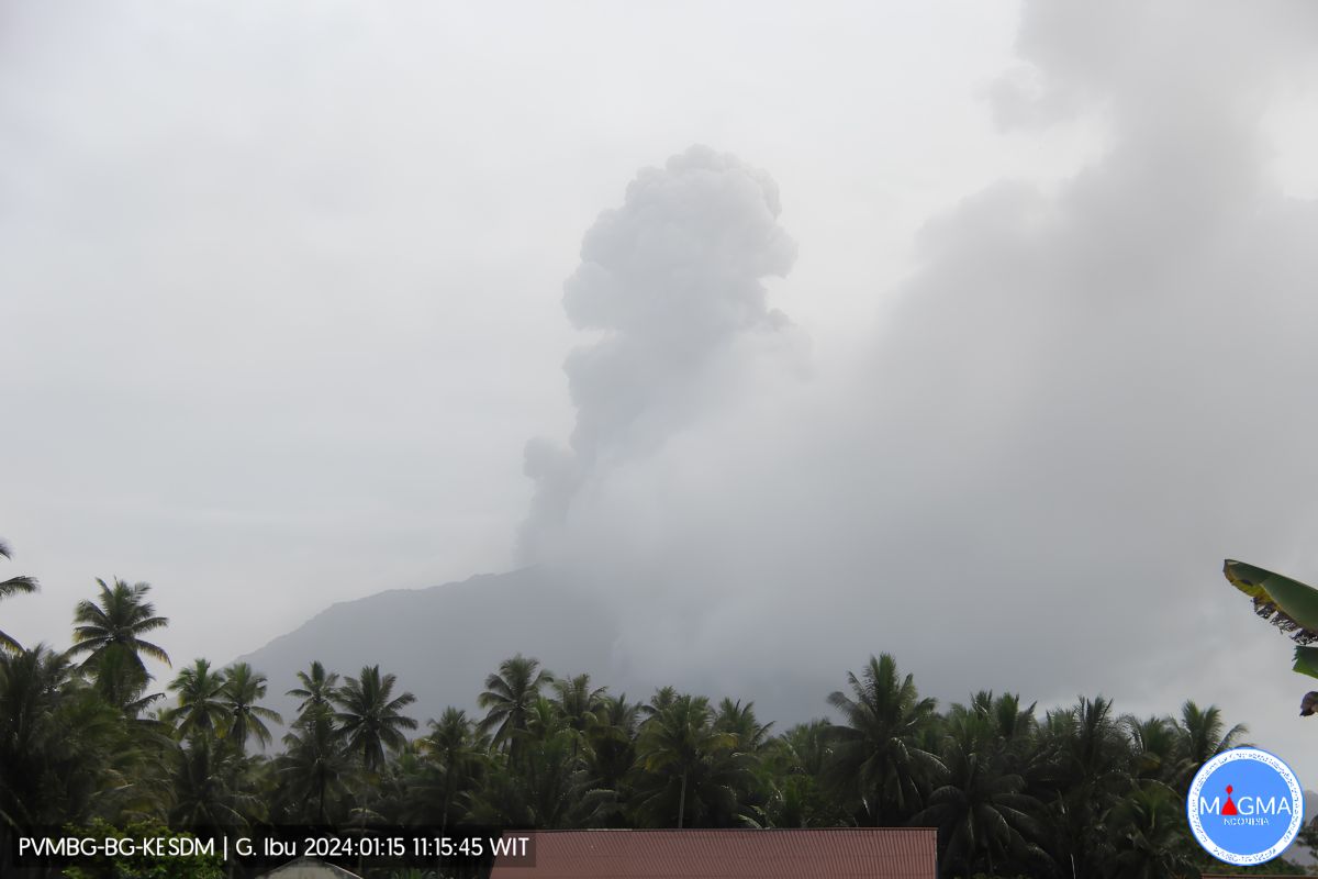 Gunung Ibu di Pulau Halmahera, Provinsi Maluku Utara meletus, Senin (15/1/2024). Foto: ANTARA