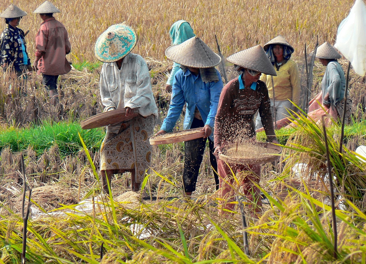 Potret pertanian Indonesia