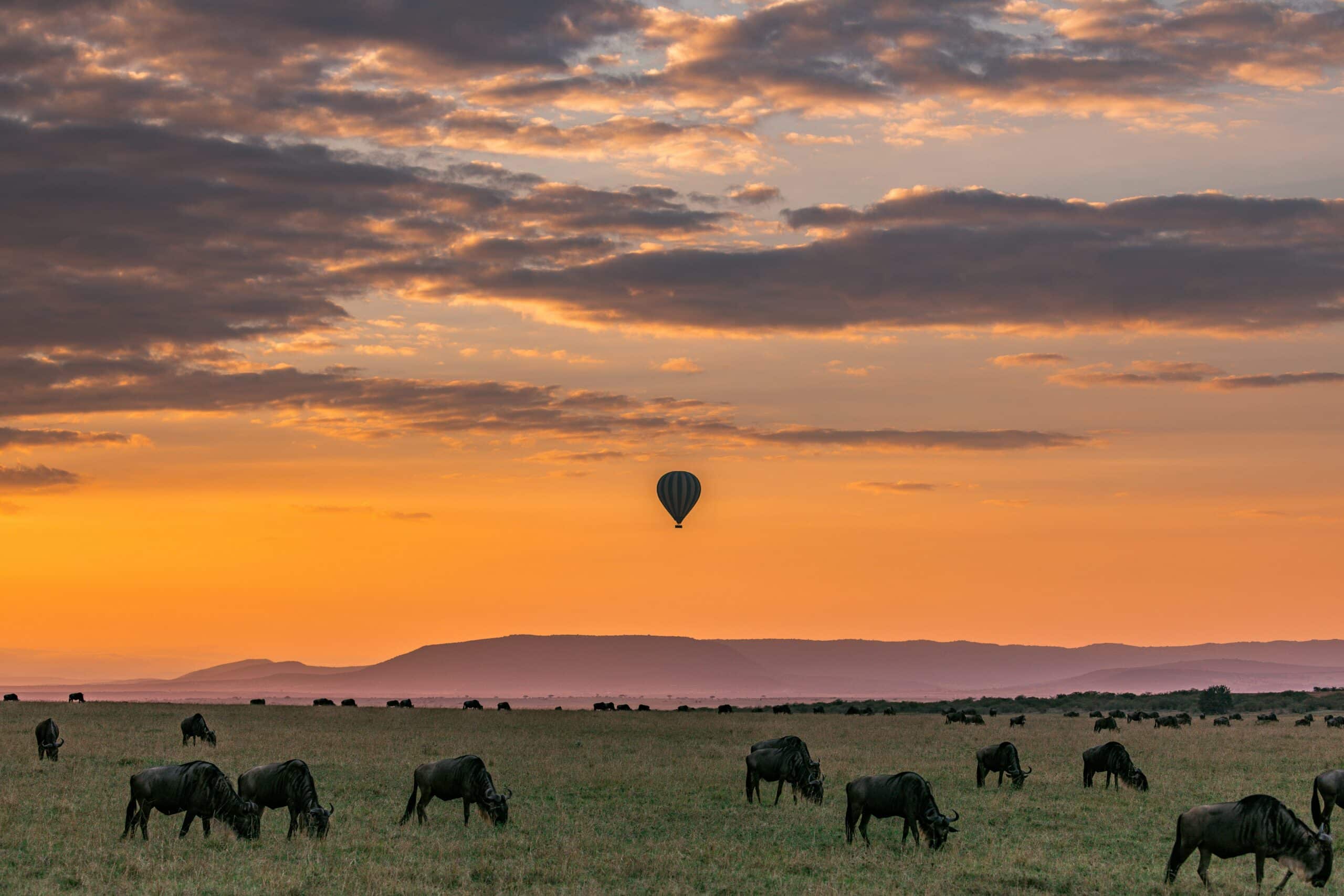 Taman Nasional Serengeti Tanzania