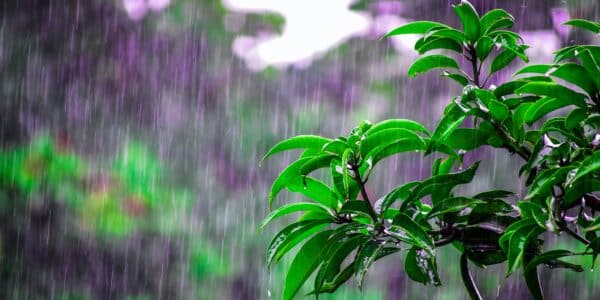 BMKG Perkirakan Hujan Lebat Terjadi di Sejumlah Provinsi