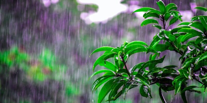 BMKG Terbitkan Peringatan Dini Dampak Hujan Sedang Hingga Lebat Disertai Petir di Sejumlah Wilayah Indonesia
