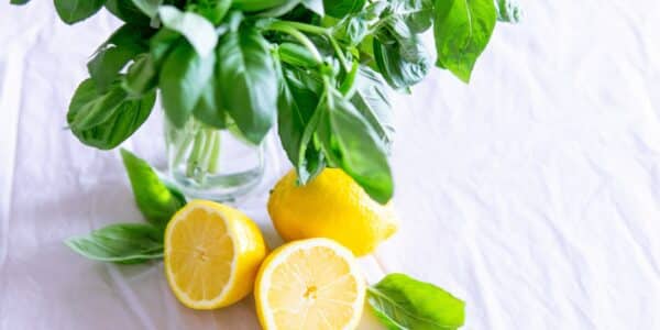 Lemon: Buah Kuning Segar yang Penuh Manfaat