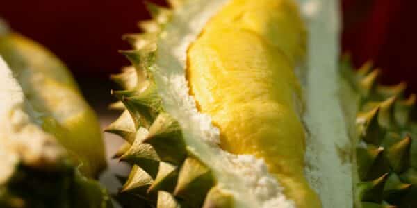 Kamu Doyan Durian si Raja Buah-buahan? Ini Dia Beberapa Fakta tentang Durian