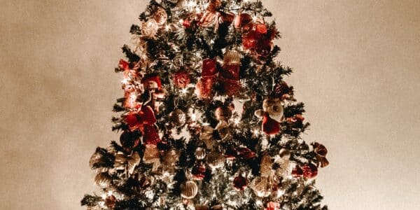 Bentar Lagi Natal! Yuk Simak Berbagai Tradisi dan Makna Perayaan Natal